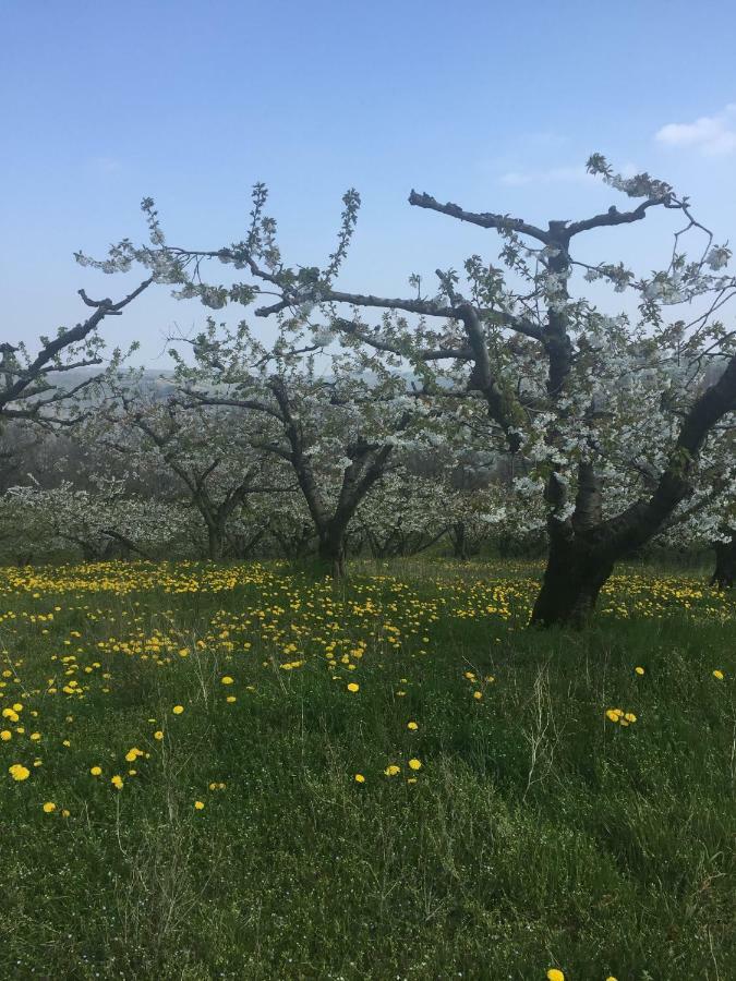 Les Gites Du Couvent Nozieres  Exterior foto